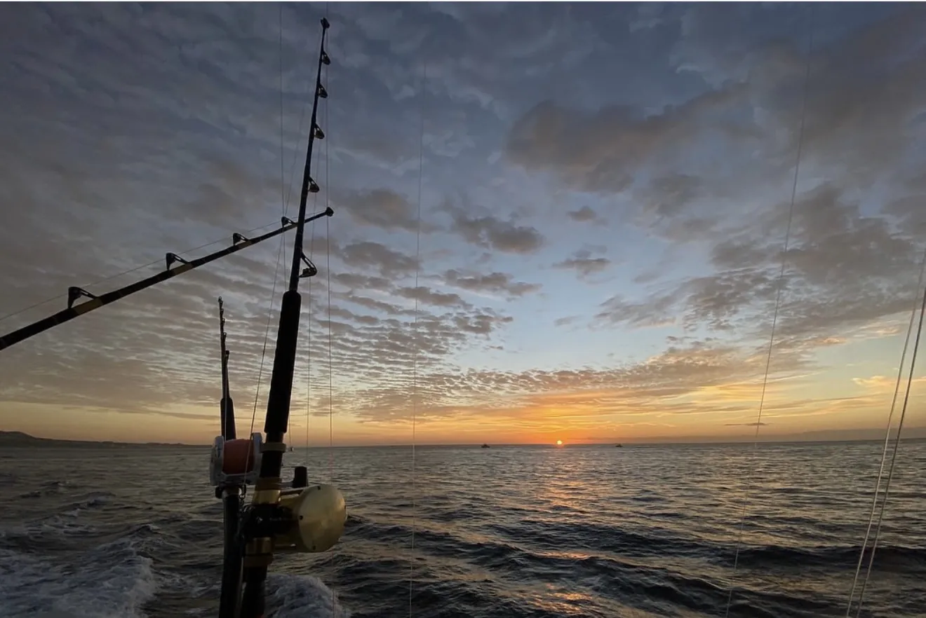 Rods and reels silhouetted against a Cabo sunset from the stern